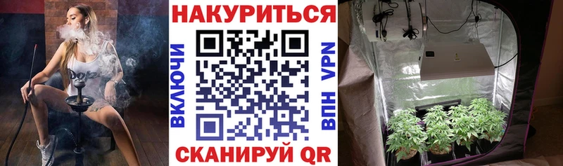 Шишки марихуана планчик Покачи